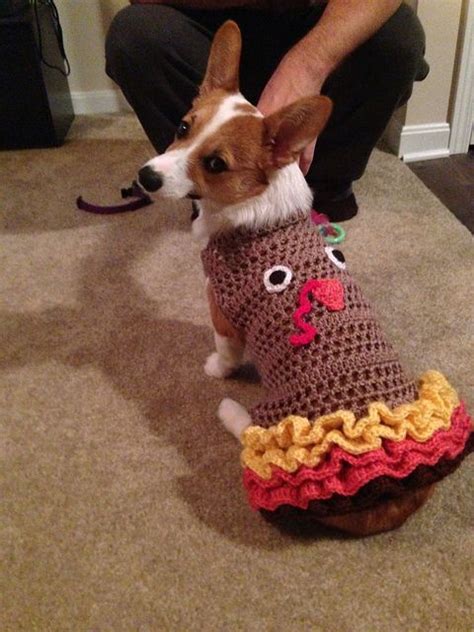 Check spelling or type a new query. Thanksgiving Corgi Dogs|Thanksgiving Corgis|Happy ...