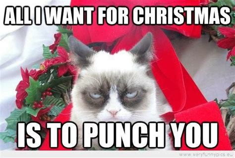 Grumpy Cat Christmas All I Want Is To Punch You Funny Christmas
