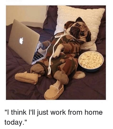 83 Best Work From Home Memes