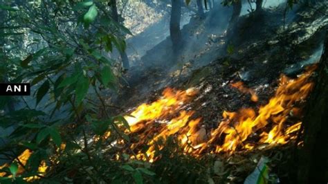 Uttarakhand Forest Fire A Burning Problem