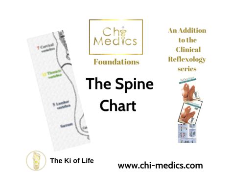 Chi Medics Via The Feet Foundations The Spine Chart Chi Medics