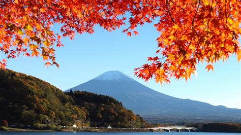 Japan Mount Fuji Autumn Red Leaves Wallpaper 1600x900 Resolution