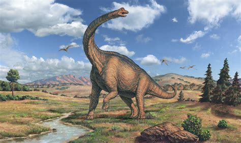 Dinosaurs first appeared between 247 and 240 million years ago. How Was Brachiosaurus Discovered?