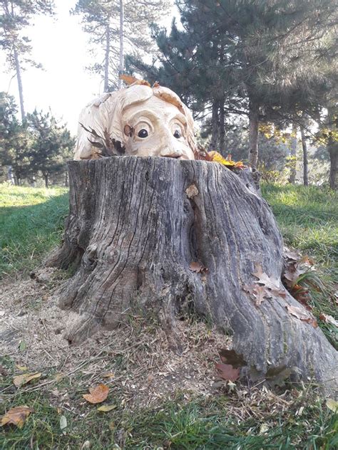 Romanian Artist Turns Tree Stumps Into Beautiful Artworks Oddity