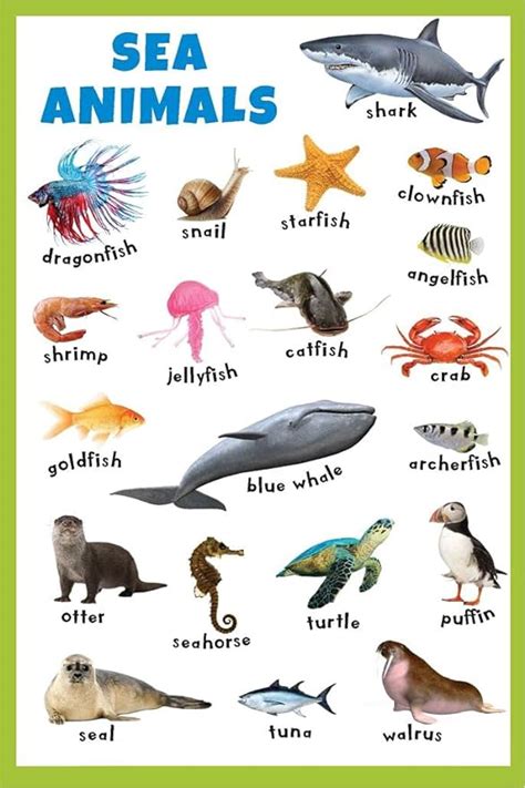 Sea Animals Thick Laminated Primary Chart Wall Sticker For Living