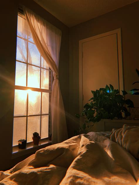 Sunrise In My East Facing Bedroom Aesthetic Window Window Aesthetic