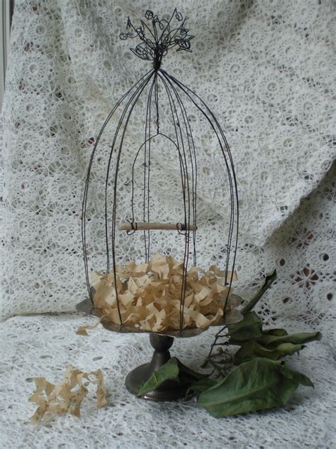 Looking for an ideal parakeet cage? Todolwen: Homemade Tattered Bird Cage