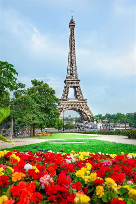 Flowers And Eiffel Tower Stock Photo Image Of Famous 111347228