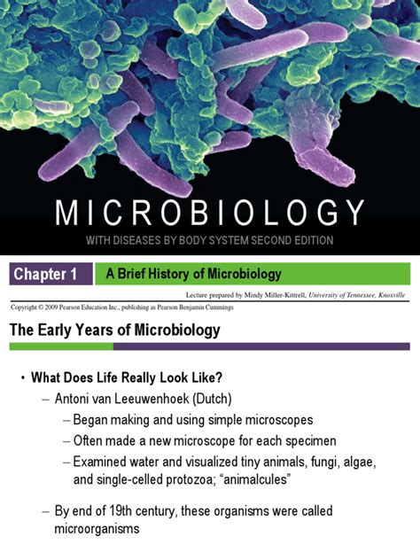 Microbiology Power Point Presentation Microorganism Microbiology