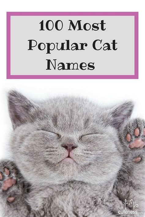 Do you need to dream up a name for your fabulous new white cat but want it to mean something? The top 100 cat names are here! Click through to see what ...