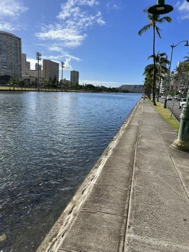 Best Hikes And Trails In Ala Wai Community Park Alltrails