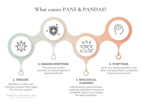 Pans And Pandas Symptoms And Diagnosis A Psychiatrists Guide Suruchi