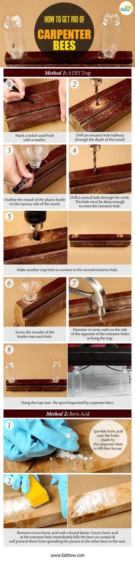 Free estimates · no obligations · project cost guides · free to use How to Get Rid of Carpenter Bees Naturally | Fab How