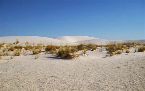 El Desierto Blanco White Sands En Nuevo México Estados Unidos Ruta 33