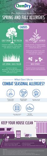 Difference Between Spring And Fall Allergies Infographic By Chem Dry