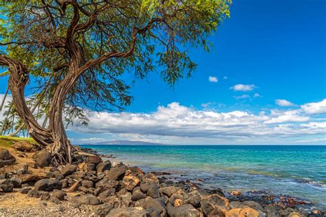 8 Best Beaches In Kihei And The Surrounding Area