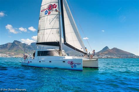 Champagne Cruise Pre Sunset From Cape Town Compare Price 2023