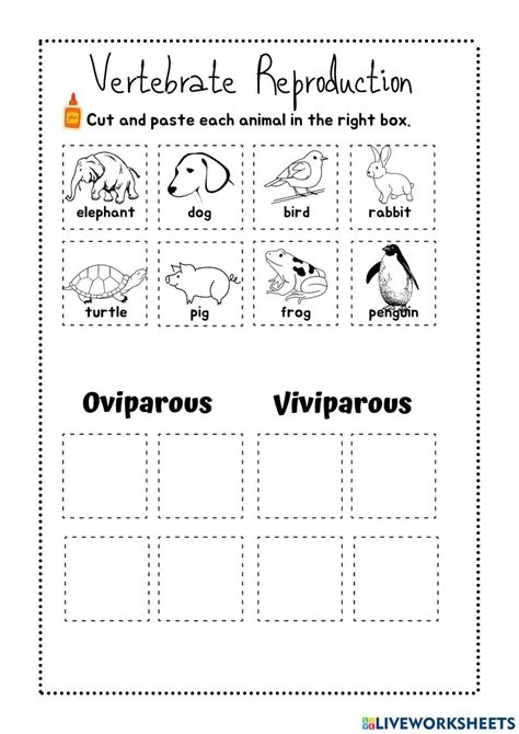 Oviparous And Viviparous Animals Online Exercise For Live Worksheets