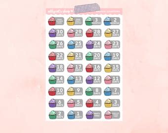 Birthday Countdown Planner Stickers Etsy
