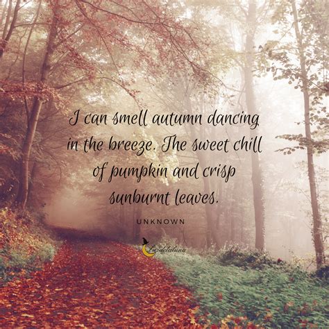 Autumn Beauty Quotes Shortquotescc