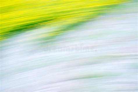 Abstract Background Blur Flower Stock Image Image Of Lawn Blooming