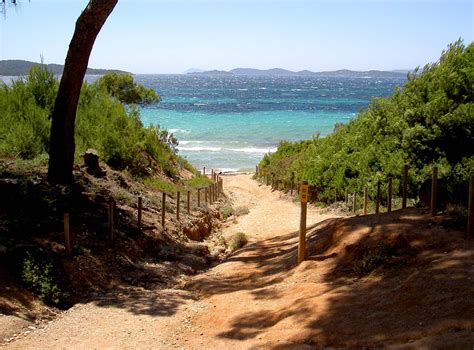 île De Porquerolles France Travel Around The World South Of France Visit France