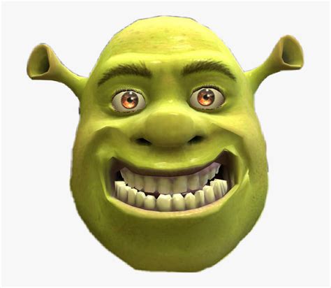 Shrek Funny Face