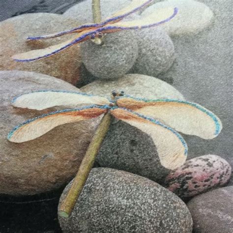 Dragonfly From Maple Tree Seeds Helicopters Twig And Glass Eyes