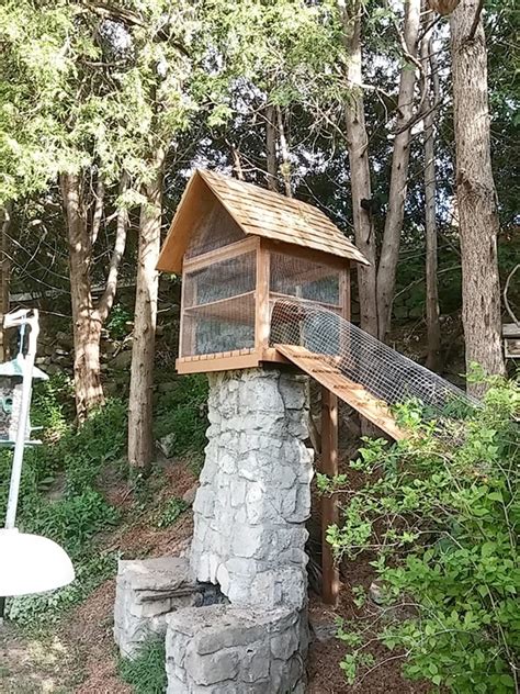 Another Awesome Outdoor Cat Enclosure Cuckoo4design