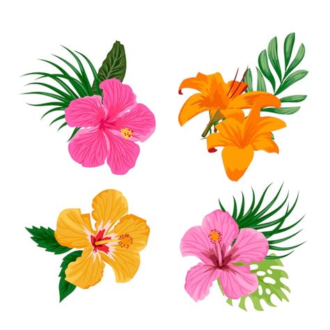 Hawaiian Hibiscus Flower Free Clipart Best Flower Site