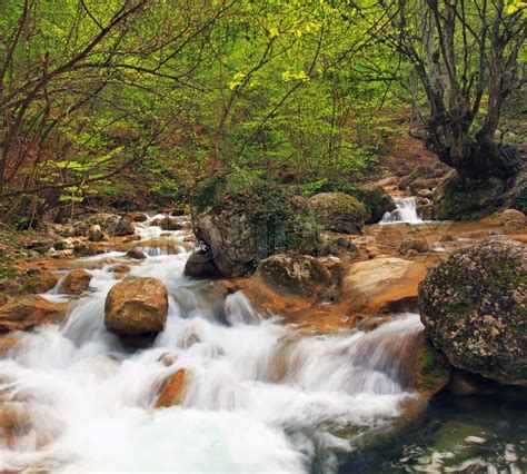 Mountain River In Spring Forest Stock Photo Colourbox