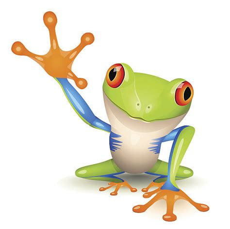 Royalty Free Frog Clip Art Vector Images And Illustrations Istock