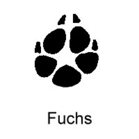 In diesem arbeitsblatt müssen neun tierspuren den entsprechenden tieren zugeordnet werden. Rätsel Tierspuren - Reise Archive Iris Luckhaus ...