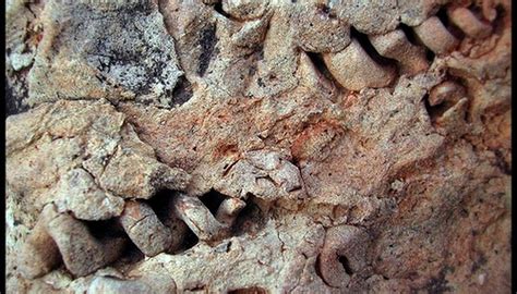 The method compares the abundance of a naturally occurring radioactive isotope within the material to the abundance of its decay products, which form at a known constant. How Is Radioactive Dating Used to Date Fossils? | Sciencing