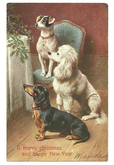 Vintage Christmas Vintage Postcards Vintage Dog Vintage Postcard