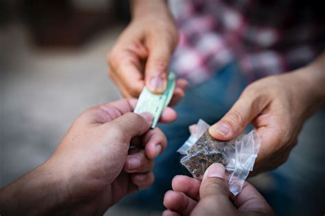 Drogue : hausse de 11 % du trafic et record de saisies l'an dernier