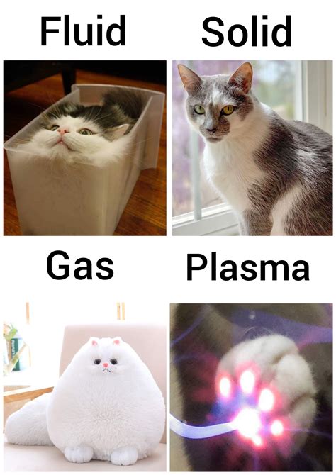 The four states of matter : r/sciencememes