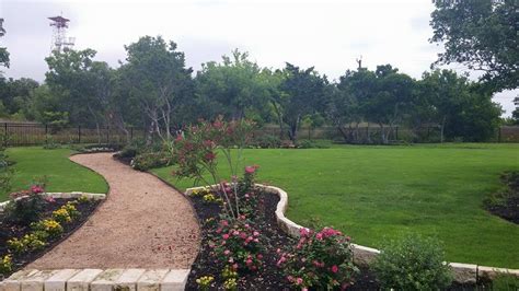 Landscaping In San Antonio Top Notch Arbor Care