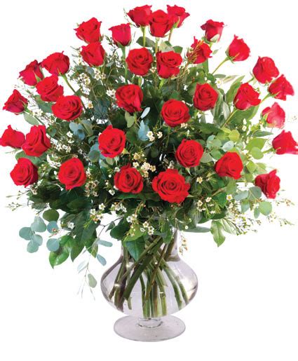 Three Dozen Red Roses Vase Arrangement In Hackettstown Nj Katarina
