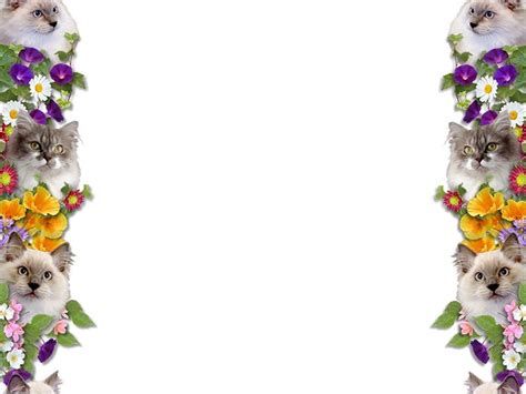 That was an easy one. Border Wallpapers HD, Super Border Wallpaper Hd, #8869