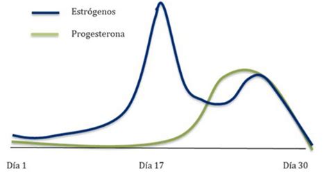 Niveles De Estrógenos Y Progesterona Durante El Ciclo De Una Mujer Download Scientific Diagram