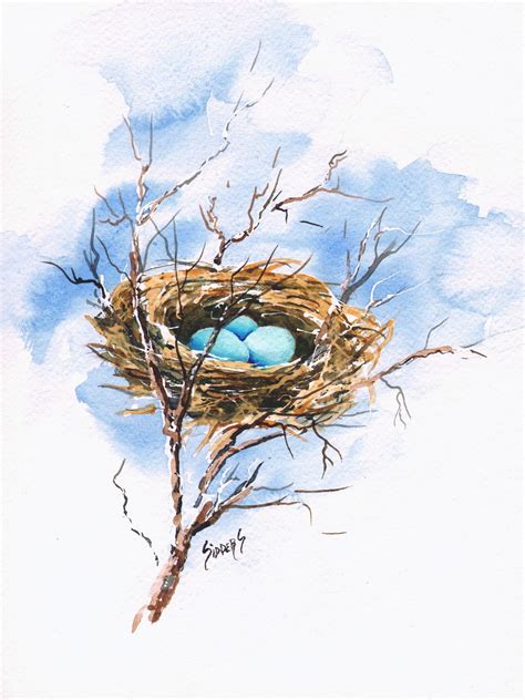 Robins Nest Nest Art Bird Nest Painting Watercolor Bird