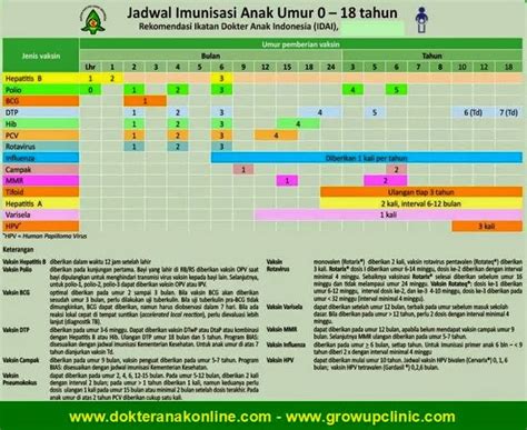 Imunisasi wajib untuk bayi mendapatkan subsidi dari pemerintah dan merupakan program pemerintah atau departemen kesehatan ri. Imunisasi yang wajib diberikan untuk bayi 0 - 12 bulan ...