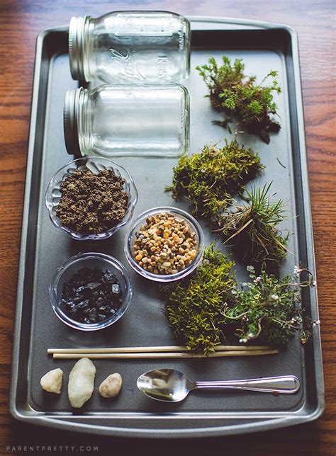 Diy Moss Terrarium Craft Science Projects For Kids