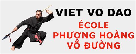Cours De Viet Vo Dao Arts Martiaux Vietnamiens Vma Self Défense Online