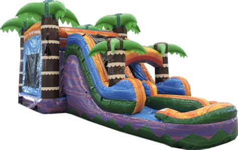 Tiki Plunge Dry Combo Rental Rent A Bouncer Diy Chattanooga Bounce