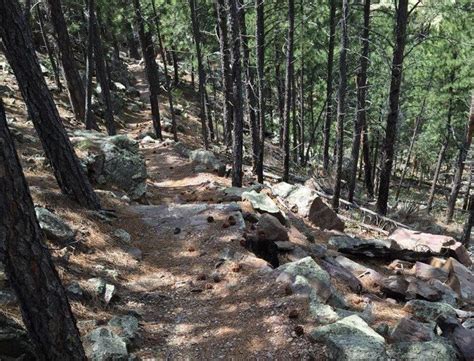 Take The Rankin Ridge Trail At Wind Cave National Park For Incredible