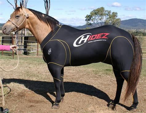 Ppferde, wagen, hunde, vögel ꝛc. Horse Travel & Recovery Suit - Kompressionsanzug | Pferde ...