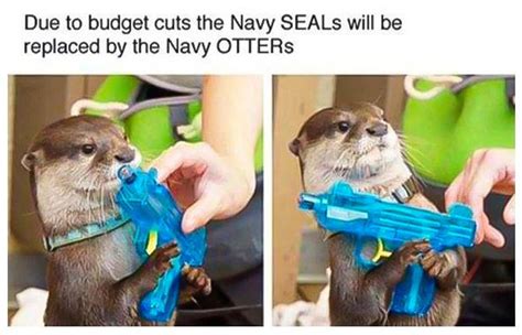 Pin On Otter Memes