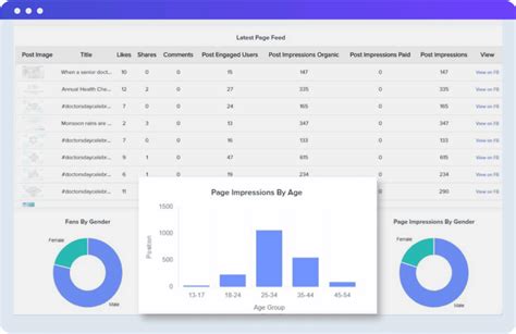 Facebook Page Insights Dashboard Software For Digital Agencies